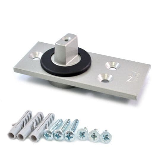 Dorma RTS 85 floor pivot