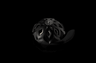 Kaloud Lotus 3 - III Niris + Auris  Heat Management System (Black & Gold)