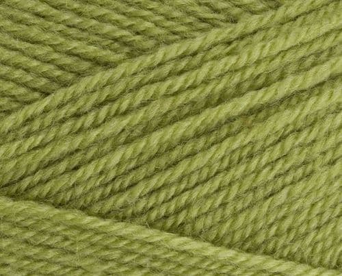 Stylecraft Life DK 2311 Fern 100g