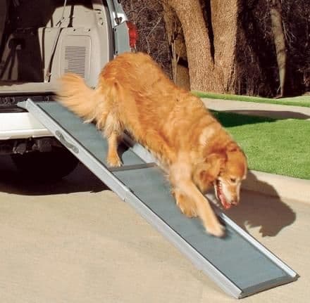 Aluminium Telescopic Dog Ramp by Solvit