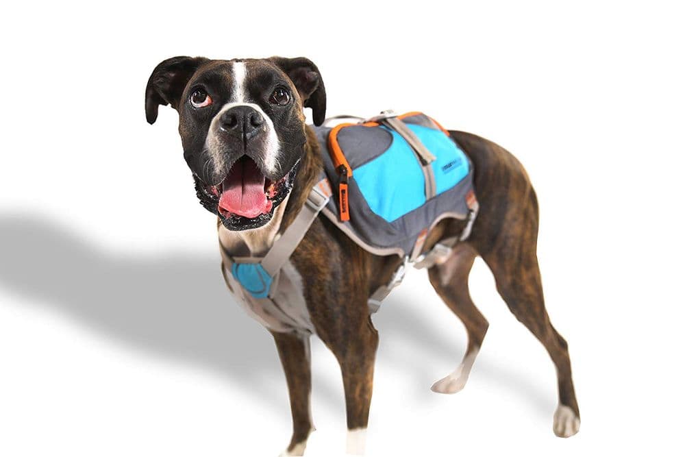 Cesar Millan Dog Packpack training pack - Main Image