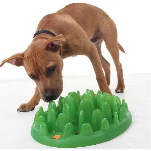 Company of Animals Interactive Feeder Green