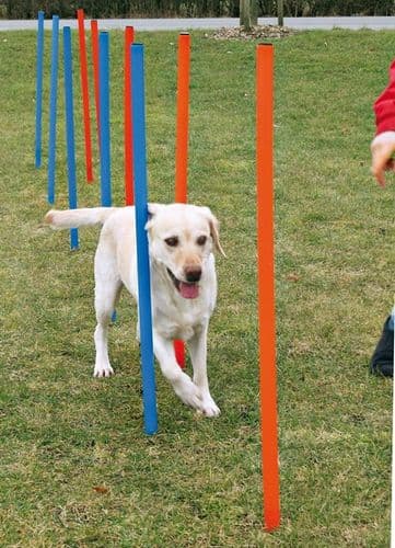 Dog Agility Weave Poles 115cm Tall with Ground Spike