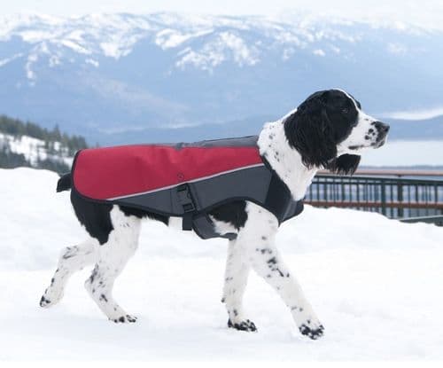 EzyDog Element Jacket