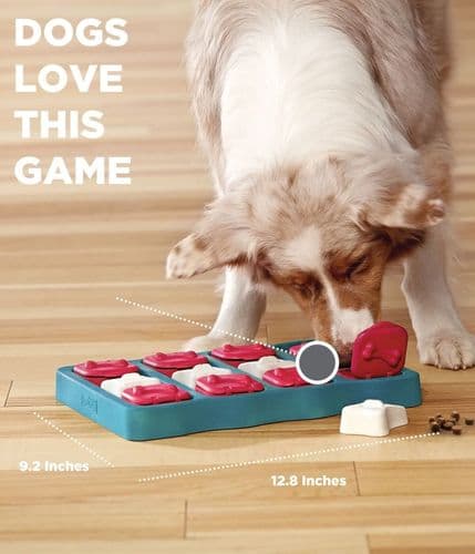 Interactive toys for dogs