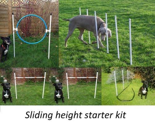 Jessejump dog agility training starter kit