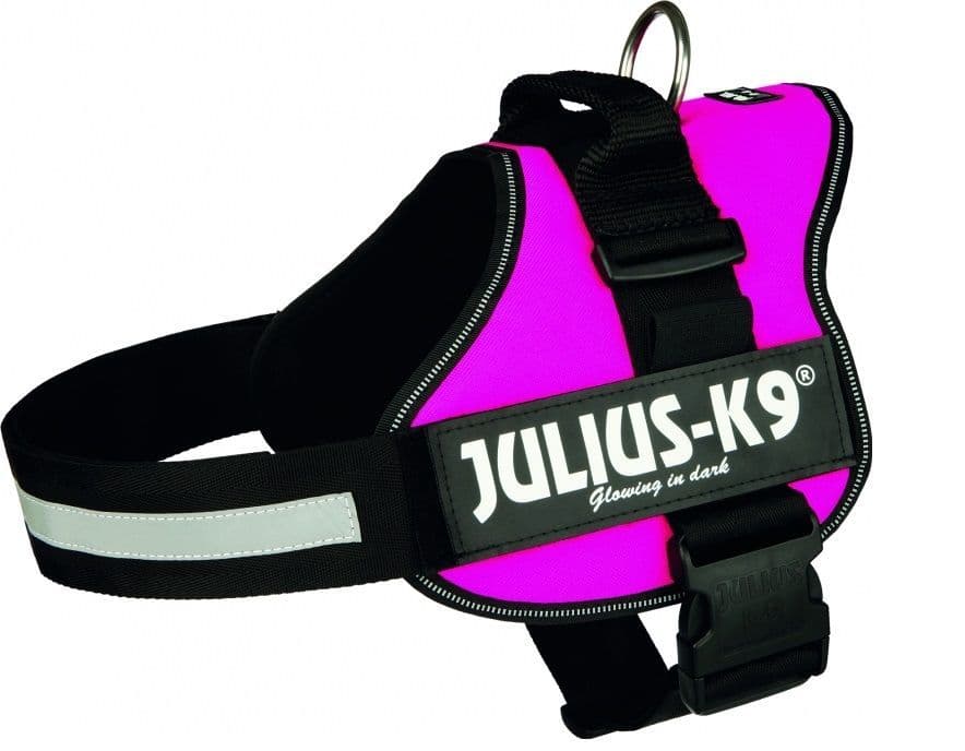 Julius K9 PowerHarness Pink a Pet-Tastic harness