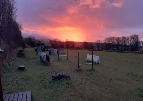 March Devon Dog Field hire