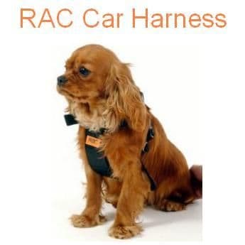 RAC Dog Harness 2 in 1