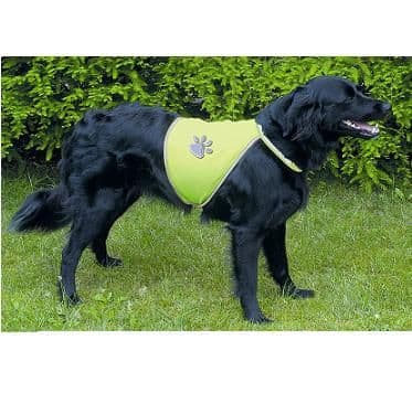 Reflective Dog WaistCoat High Visibility Jacket