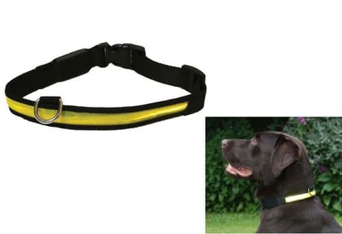 Rosewood Flashing Dog Collar