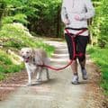 Trixie Waist Belt And Leash Dogs running belt Medium And Large