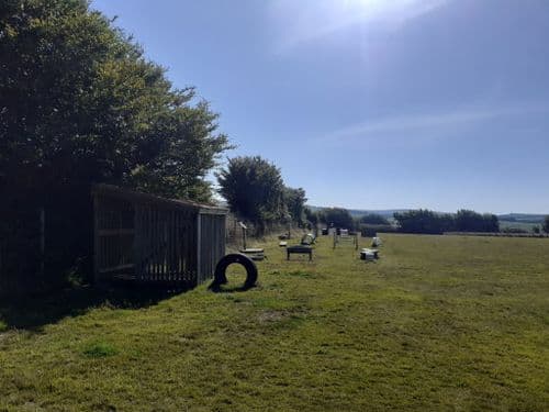 September Devon Dog Field Hire
