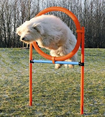 Tire Agility Jump, Dog Hoop Fully Adjustable Height