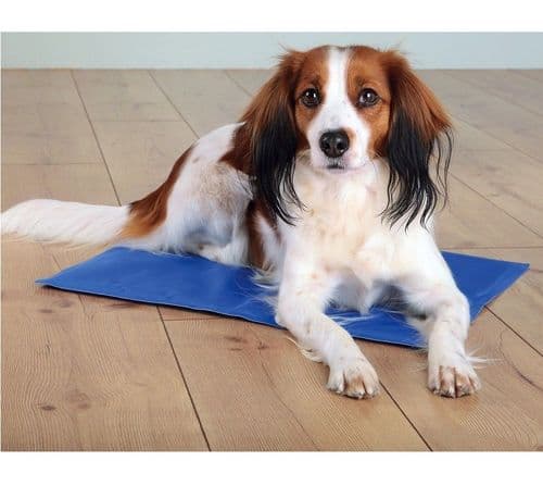 Trixie Dog Cooling Mat