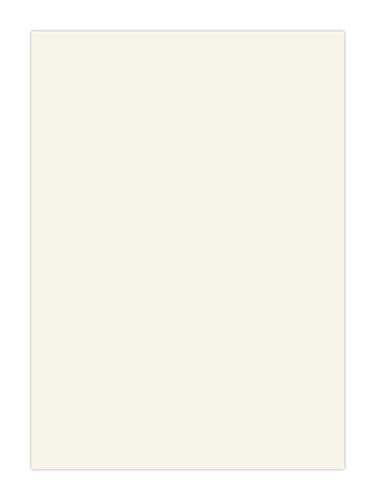 1965x597mm True Handleless Gloss Porcelain Door