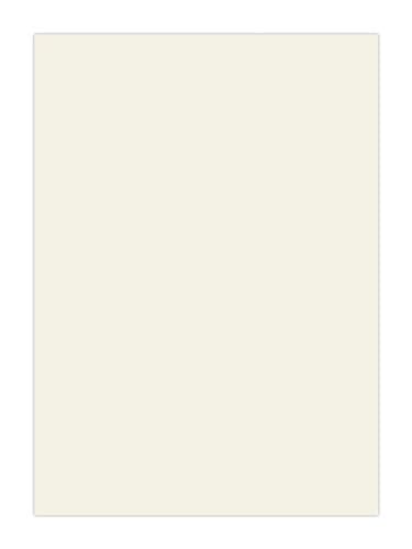 895x447mm True Handleless Matt Porcelain Door