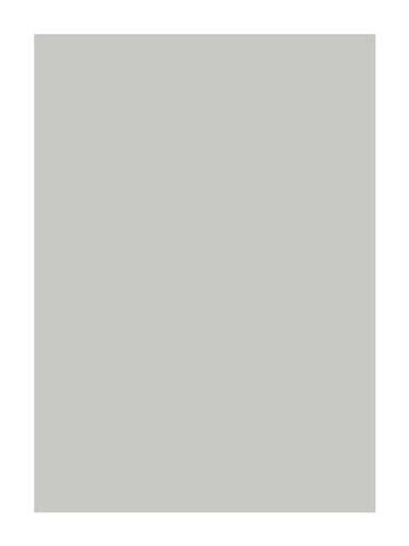 Slab Dove grey Sample door - 570x397mm