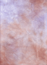 Celebration of Roses