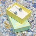 Marine E1 Earrings