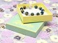 Rockpool B3 Bracelet (Available in 2 Sizes)