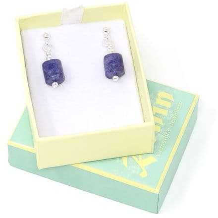 Wish E1 Earrings