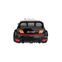 UD1604 UDIRC 1:16 Rally F Style RTR Brushed