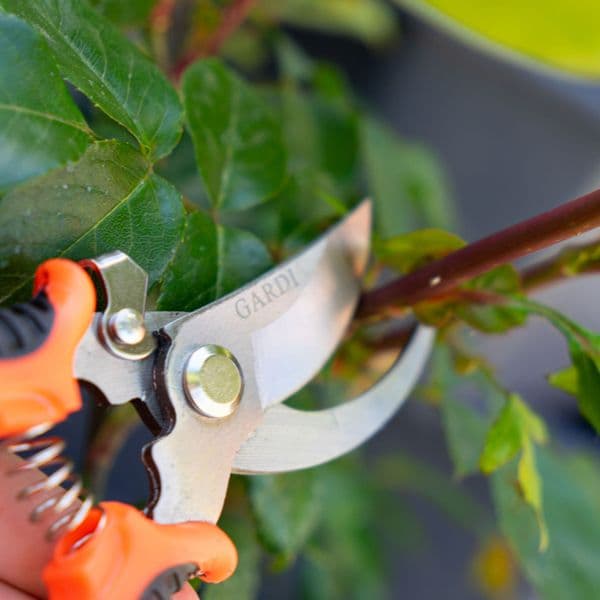 Gardi Orange Hand Held Pruning Secateurs with Locking Mechanism