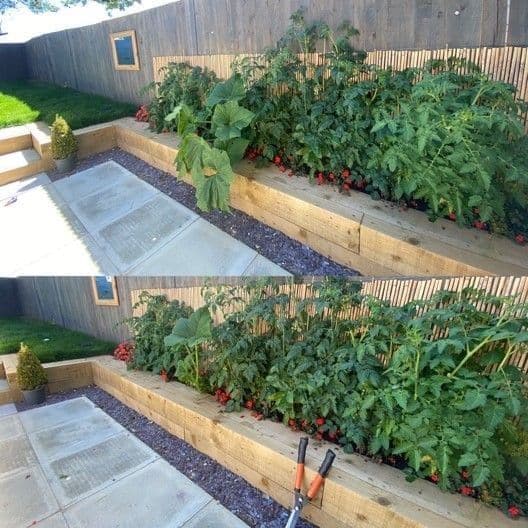 Gardi Orange Serrated Garden Hedge Comfort Grip Shears