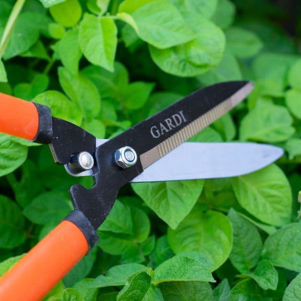 Gardi Orange Serrated Garden Hedge Comfort Grip Shears