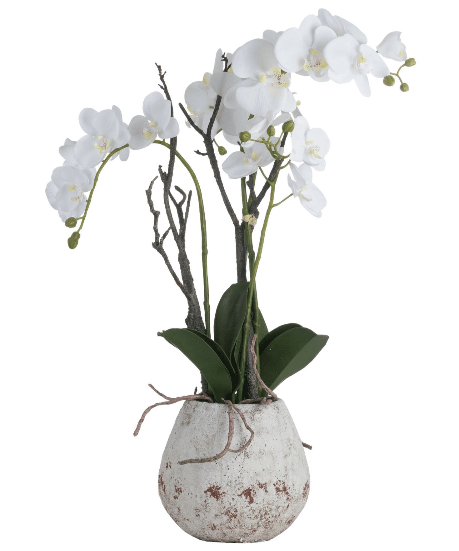 Large Artificial White Orchid Plant In Glass Pot MH19959 Millmax interiors decorative home