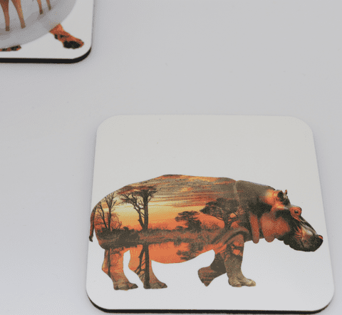 Hippo Habitat Exposure