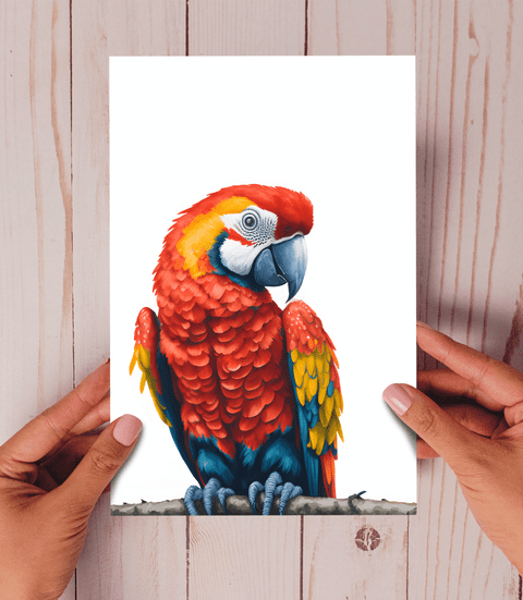 Macaw Card