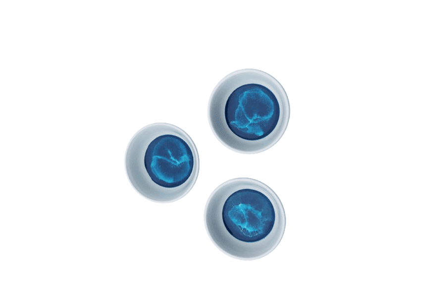 Ocean Ceramic Circle Bowl