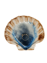 Ocean Scallop