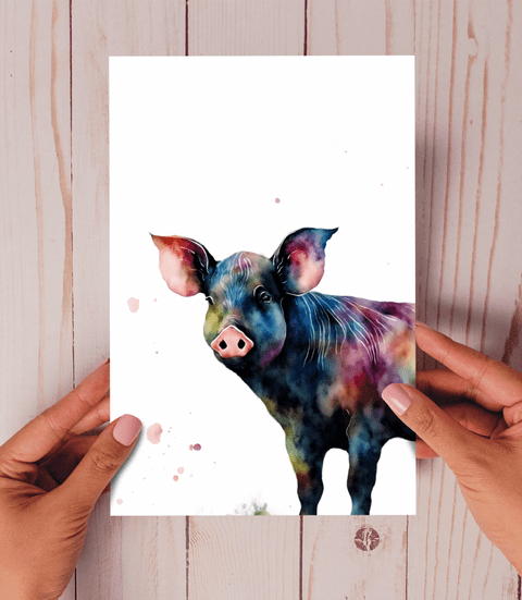 Peter Rainbow Pig