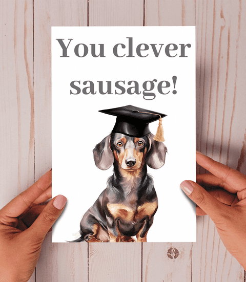 You clever sausage Dachshund