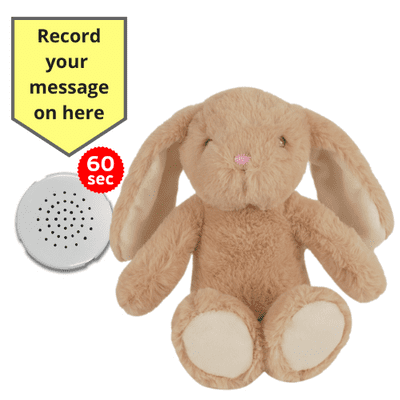 10 inch Brown Cuddles Bunny - Recordable Bear