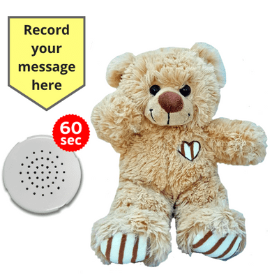 10 inch Brown Cuddles Teddy - Recordable Bear - Baby Heartbeat Bear