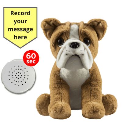 10 inch Bulldog Dog - Recordable Bear - Baby Heartbeat Bear