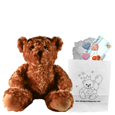 10 inch Chocolate the Brown Bear - DIY Bear Kit no-sew