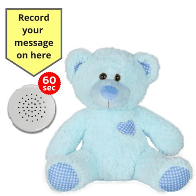10 inch Classic Blue Teddy - Recordable Bear