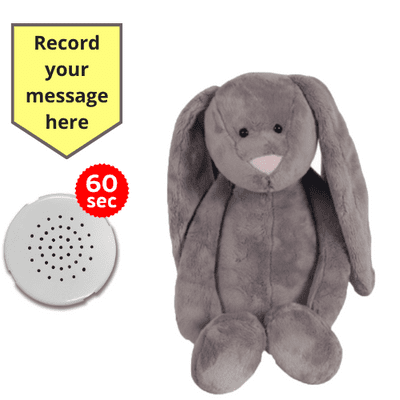 10 inch Flopsy Cuddles Bunny with pink nose - Recordable Bear