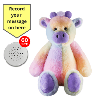 10 inch Flopsy Rainbow Giraffe - Recordable Bear
