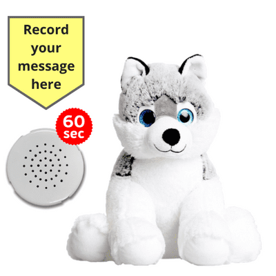 10 inch Husky Dog - Recordable Bear - Baby Heartbeat Bear