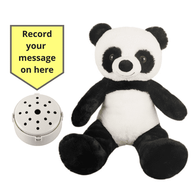 10 inch Panda - Recordable Bear - Baby Heartbeat Bear