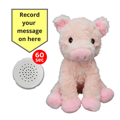 10 inch Pig- Recordable Bear - Baby Heartbear Bear