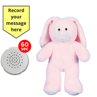 10 inch Pink Bunny - Recordable Bear- Baby Heartbeat Bear