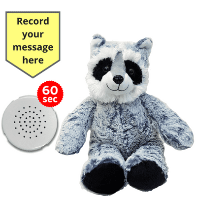 10 inch Raccoon - Recordable Bear - Baby Heartbeat Bear
