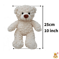 10 inch Rainbow Cat - DIY Bear Kit no-sew